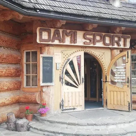 Damisport